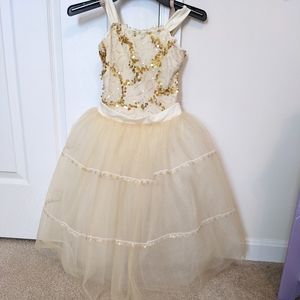 COPY - Beautiful Ballerina Costume